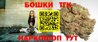 индика Лесосибирск