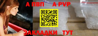 индика Лесосибирск