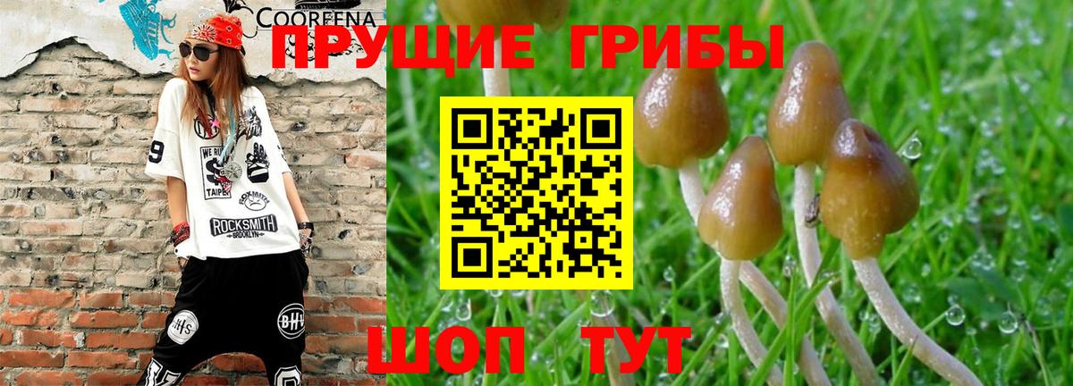 Гусиноозёрск  Галлюциногенные грибы Magic Shrooms  Вход с VPN 